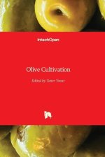 Olive Cultivation