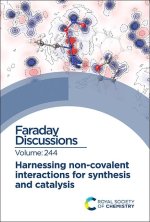Harnessing Non-Covalent Interactions for Synthesis and Catalysis: Faraday Discussion