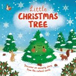 Nature Stories: Little Christmas Tree: Padded Board Book