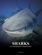 Sharks & Underwater Predators
