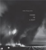 Debbie Fleming Caffery: Come to Light