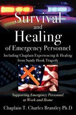 Survival and Healing of Emergency Personnel - Including Chaplain Experiencing & Healing from Sandy Hook Tragedy: Supporting Emergency Personnel at Wor