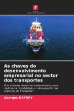 As chaves do desenvolvimento empresarial no sector dos transportes
