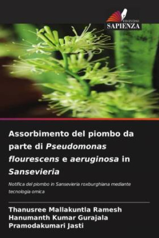 Assorbimento del piombo da parte di Pseudomonas flourescens e aeruginosa in Sansevieria