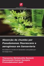 Absorç?o de chumbo por Pseudomonas flourescens e aeruginosa em Sansevieria