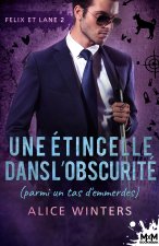 Une étincelle dans l'obscurité (parmi un tas d'emmerdes)