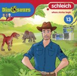 Schleich Dinosaurs CD 13