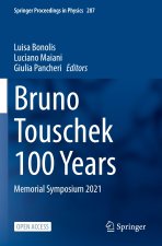 Bruno Touschek 100 Years