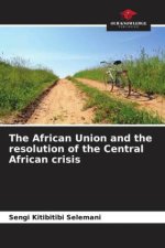 The African Union and the resolution of the Central African crisis
