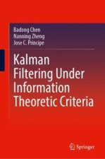 Kalman Filtering Under Information Theoretic Criteria