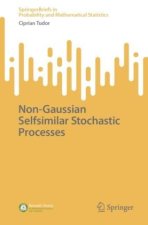 Non-Gaussian Selfsimilar Stochastic Processes