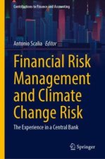 Financial Risk Management and Climate Change Risk