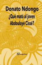 ¿QUE MATO AL JOVEN ABDOULAYE CISSE?