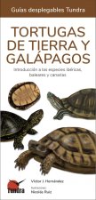 TORTUGAS MARINAS
