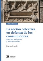 LA ACCION COLECTIVA EN DEFENSA DE LOS CONSUMIDORES ASPECTOS