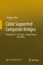 Cable Supported Composite Bridges