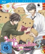 Junjo Romantica. Staffel.3.1, 1 Blu-ray (Limited Edition mit Sammelschuber)