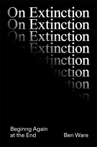 ON EXTINCTION