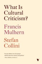 WHAT IS CULTURAL CRITICISM