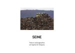 Seine