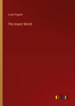 The Insect World