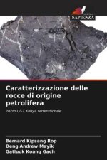 Caratterizzazione delle rocce di origine petrolifera