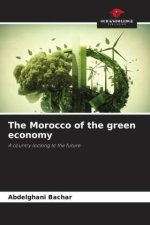 The Morocco of the green economy