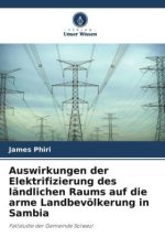 Auswirkungen der Elektrifizierung des ländlichen Raums auf die arme Landbevölkerung in Sambia