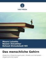 Das menschliche Gehirn