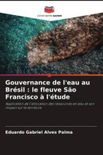 Gouvernance de l'eau au Brésil : le fleuve São Francisco à l'étude