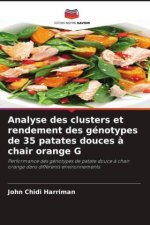 Analyse des clusters et rendement des génotypes de 35 patates douces à chair orange G