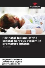 Perinatal lesions of the central nervous system in premature infants