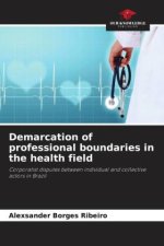 Demarcation of professional boundaries in the health field