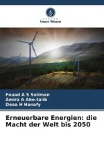 Erneuerbare Energien: die Macht der Welt bis 2050