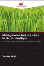 Mutagen?se induite chez le riz aromatique