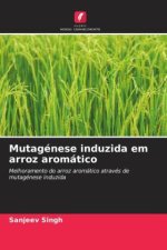 Mutagénese induzida em arroz aromático