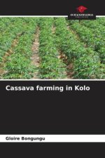Cassava farming in Kolo