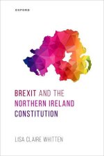 Brexit and the Northern Ireland Constitution (Hardback)