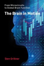 BRAIN IN MOTION