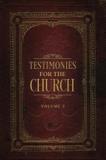 Testimonies for the Church Volume 3