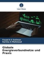 Globale Energieverbundnetze und Praxis