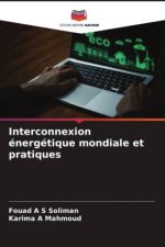 Interconnexion énergétique mondiale et pratiques