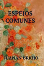 ESPEJOS COMUNES