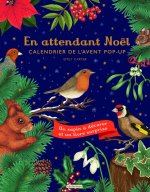 CALENDRIER DE L'AVENT - NOEL (TP)