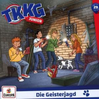 TKKG Junior - 29/ Die Geisterjagd