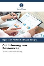 Optimierung von Ressourcen