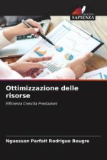 Ottimizzazione delle risorse