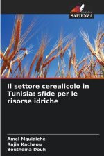 Il settore cerealicolo in Tunisia: sfide per le risorse idriche