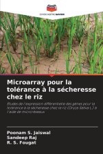 Microarray pour la tolérance ? la sécheresse chez le riz