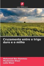 Cruzamento entre o trigo duro e o milho